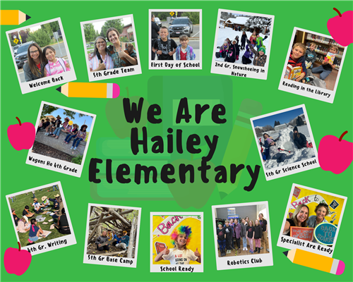 Hailey Comets